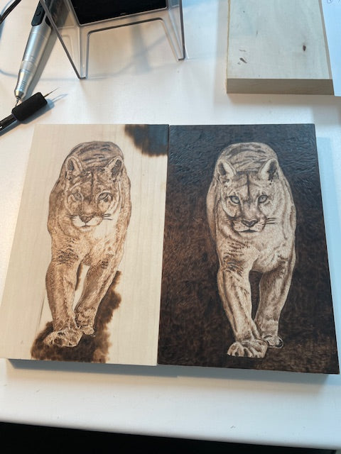 Pyrography Class January 24 2026 - Cougar Portrait