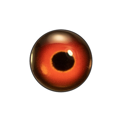 Custom Blended Eye - Wood Duck Male