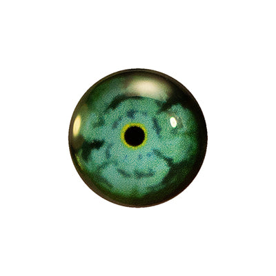 Custom Blended Eye - Double-crest Cormorant