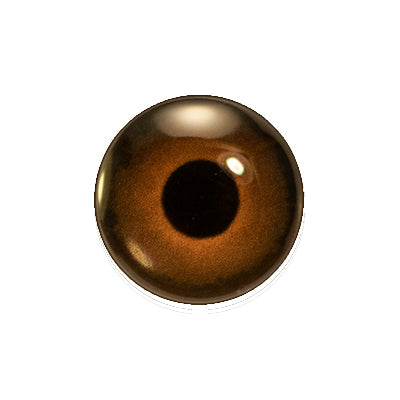 Custom Blended Eye - Red-tailed Hawk