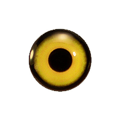 Custom Blended Eye - Screech Owl