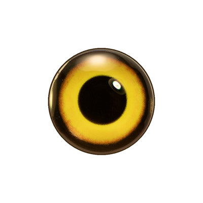 Custom Blended Eye - Short-eared Owl