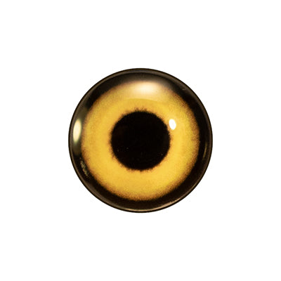 Custom Blended Eye - Great-horned Owl