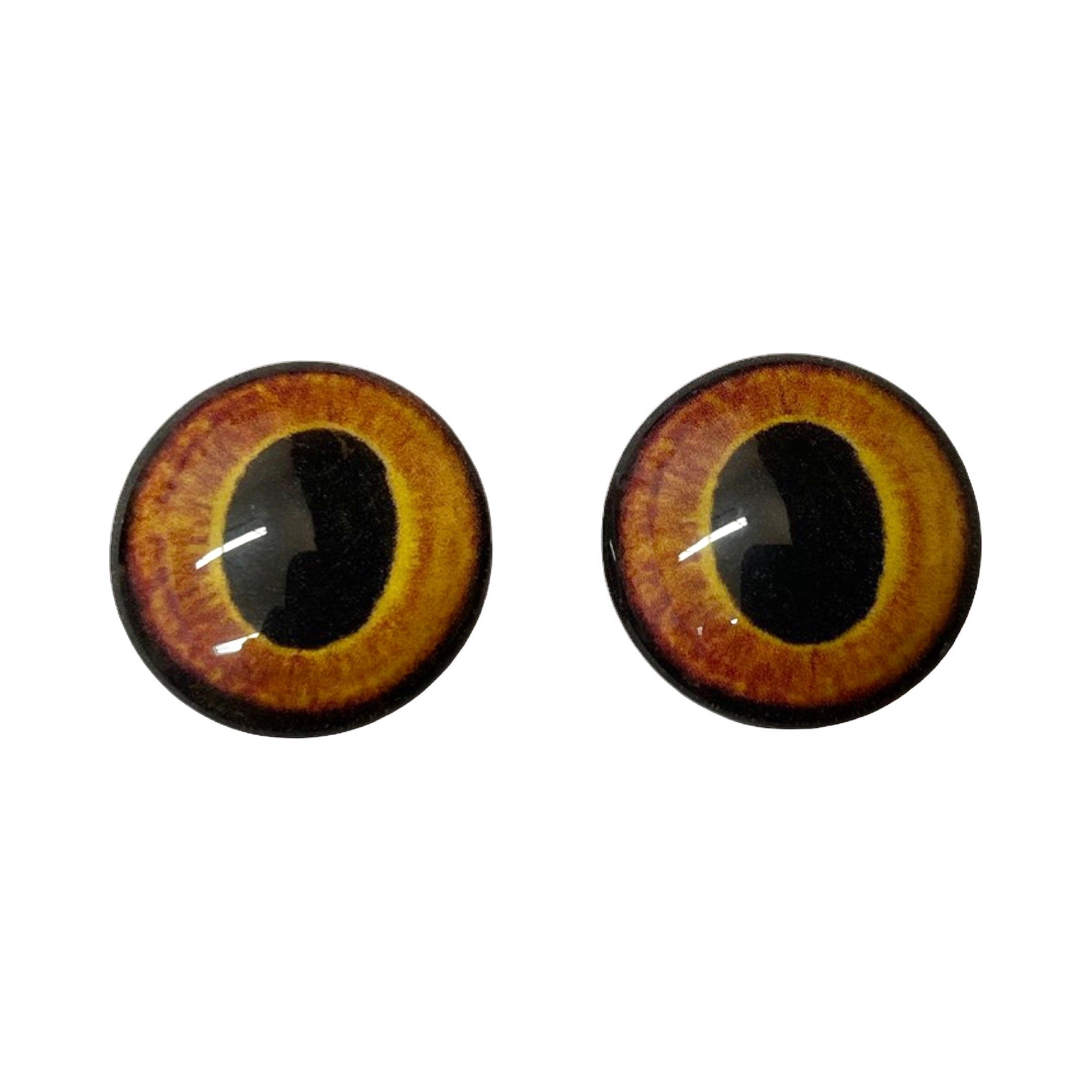 Custom Blended Eye - Galapagos Land Iguana