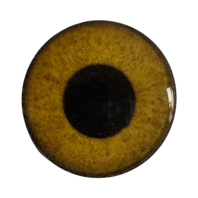 Custom Blended Eye - Golden Eagle