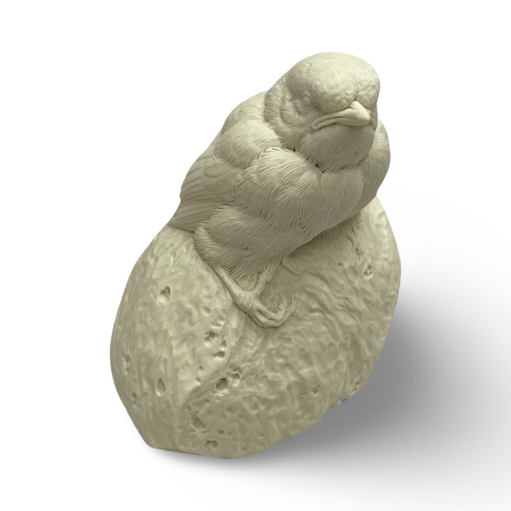 Chickadee, Baby - Study Cast