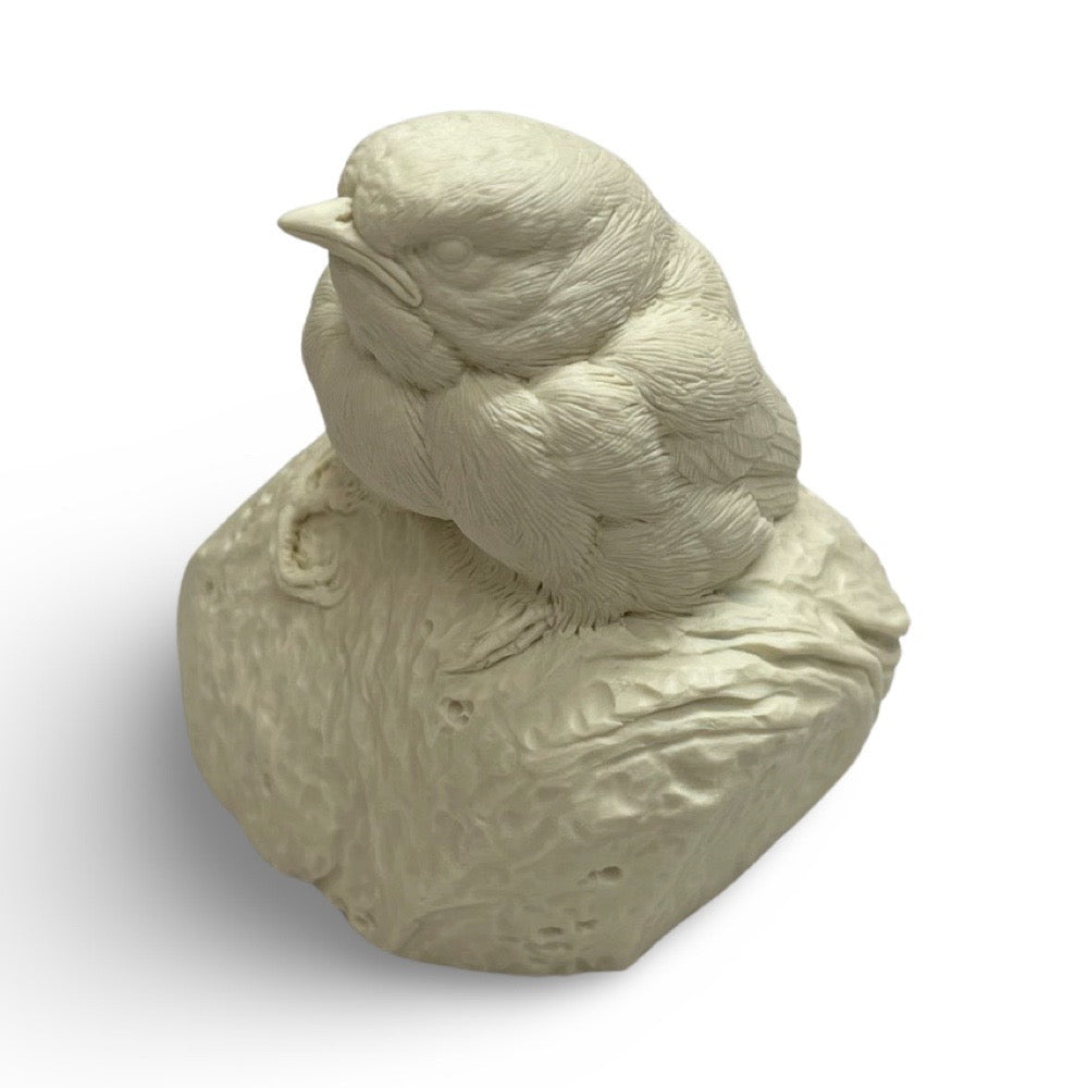 Chickadee, Baby - Study Cast