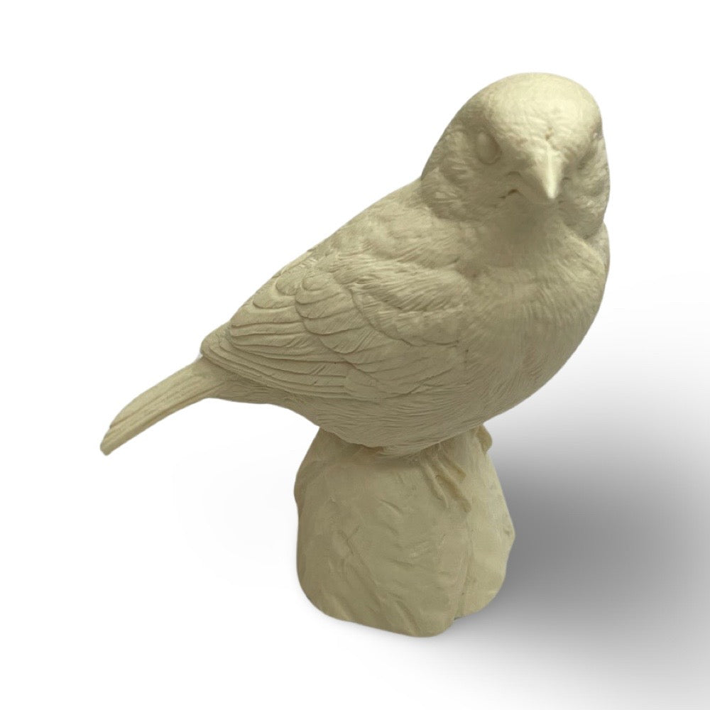 Sparrow, Eurasian Tree - Study Cast