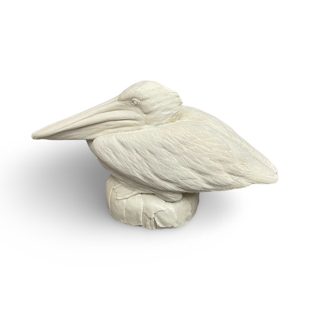 Pelican, 1/4 Lifesize - Guge Study Cast
