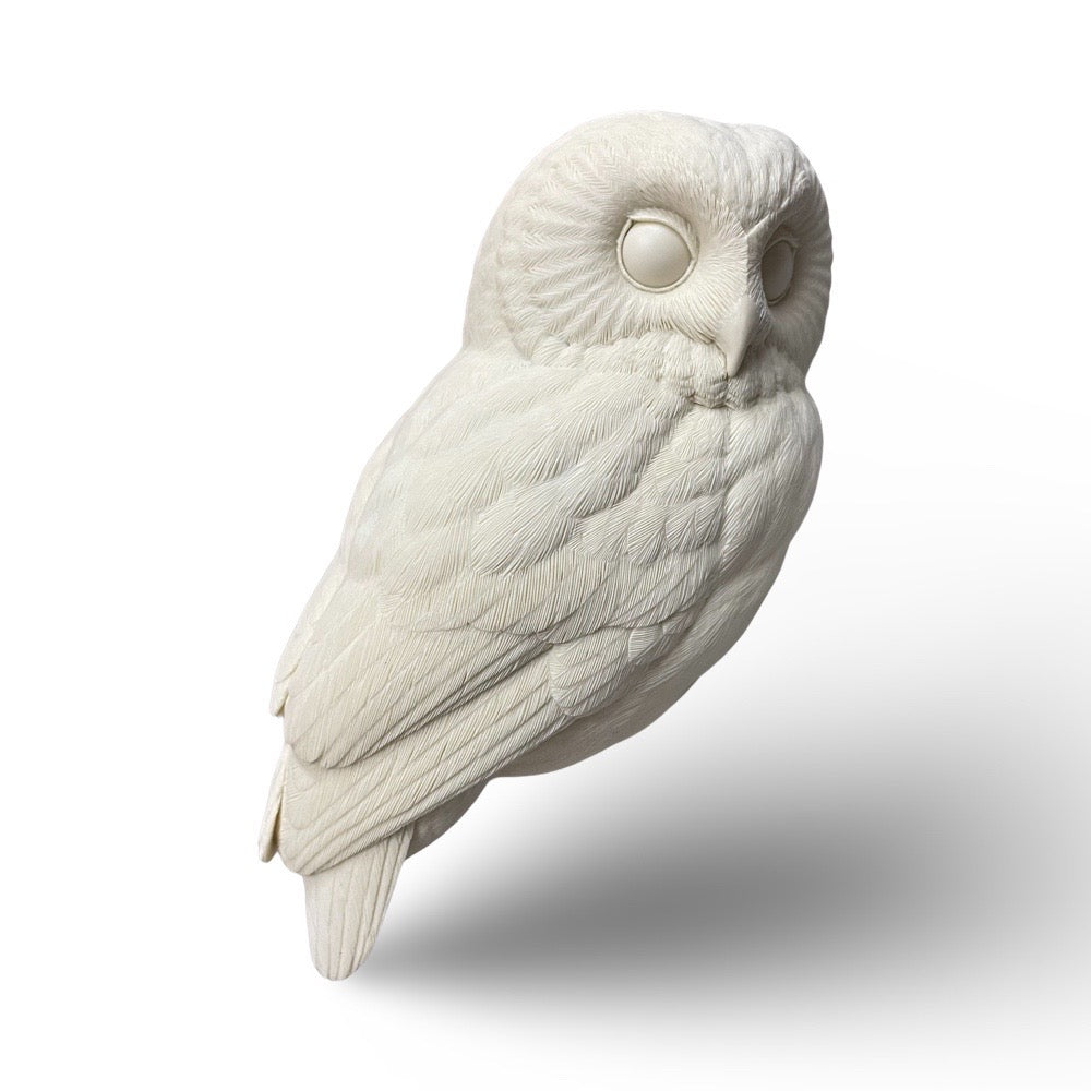 Owl, Saw-Whet, Life Size - Guge Study Cast