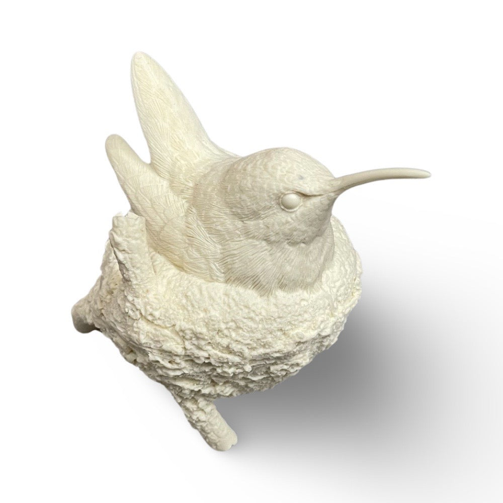 Hummingbird, Ruby-throated Life size in Nest - Guge Study Cast