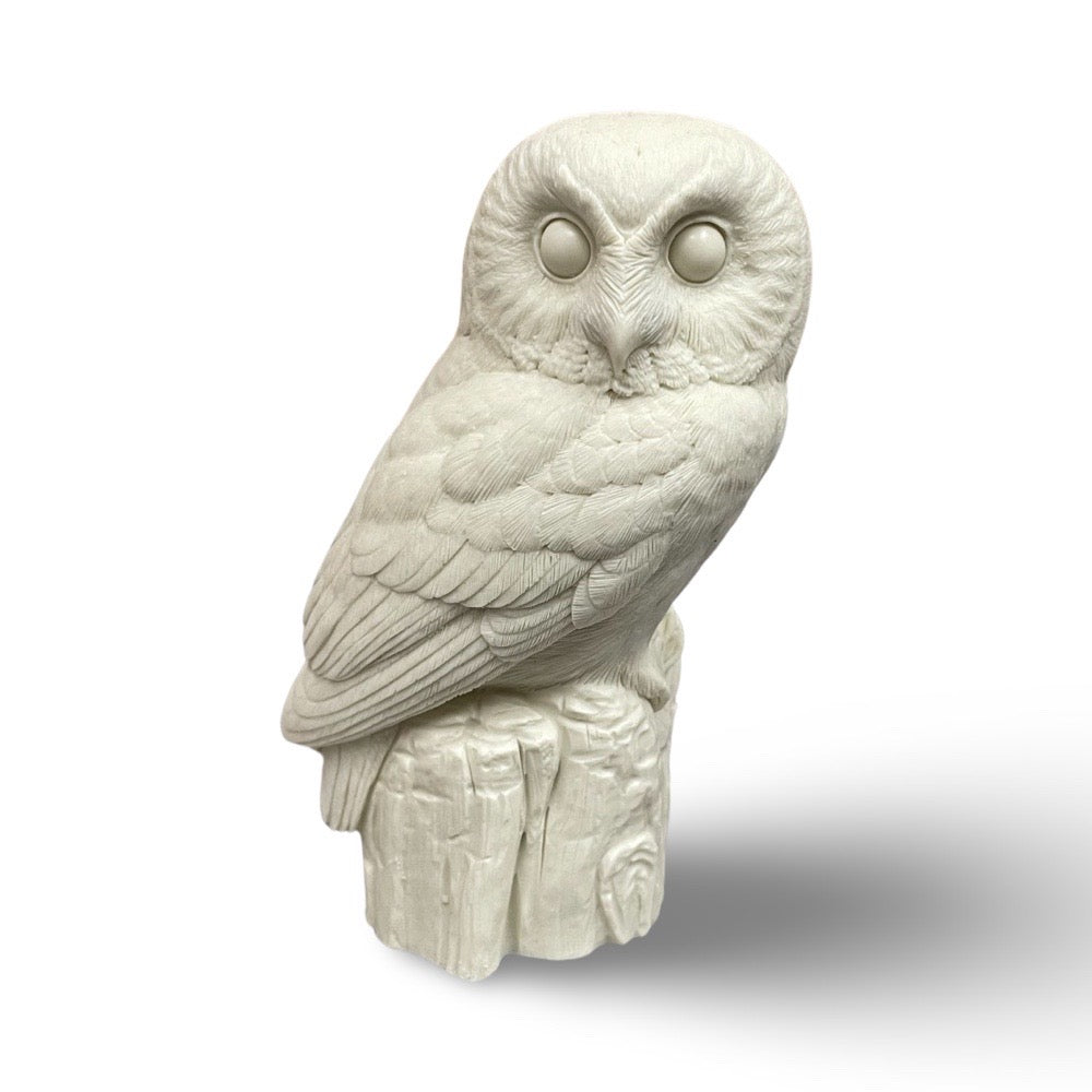 Owl, Saw-Whet, 1/2 Life Size on Stump - Guge Study Cast