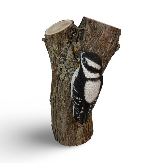 Carve, Texture and Paint a Life-size Downy Woodpecker on a tree trunk with Cam Merkle