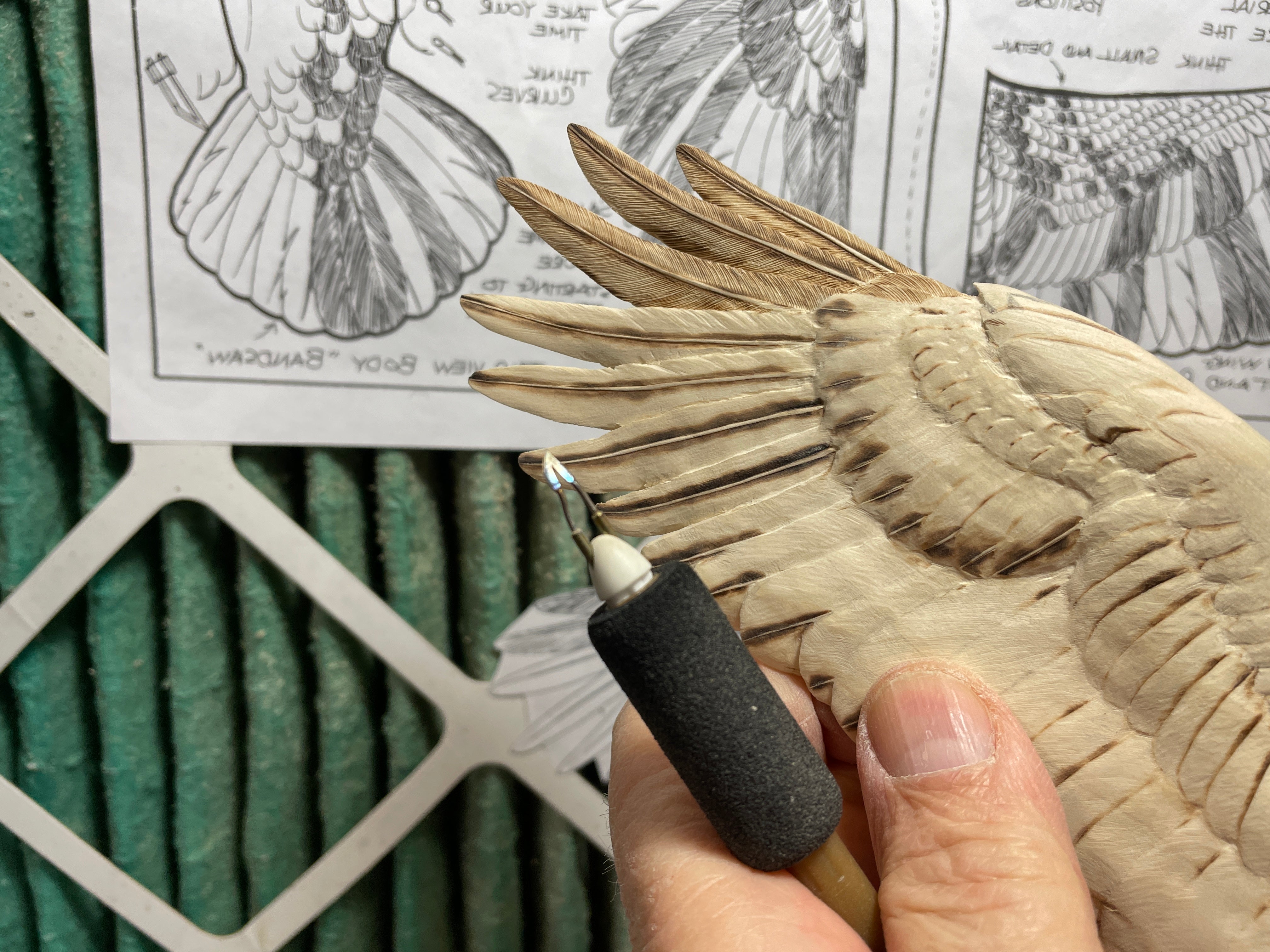 Carve and Texture a Miniature Soaring Bald Eagle with Cam Merkle