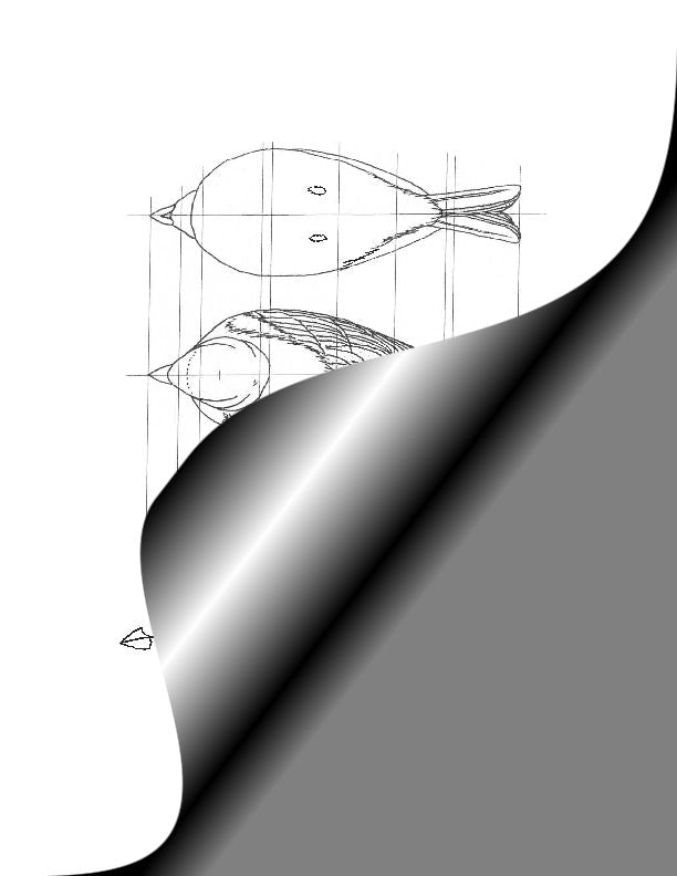 Goldfinch, American - Life Size Pattern