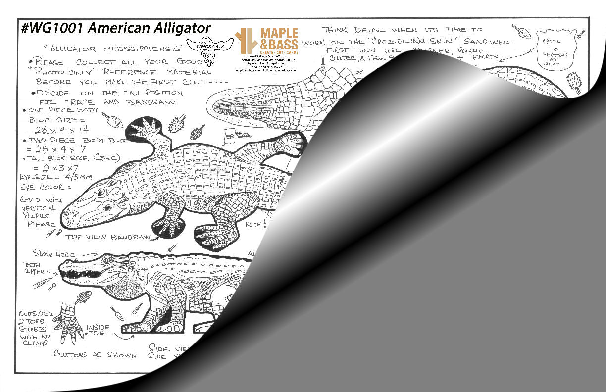 American Alligator 14", Wings Gate Pattern #WG1001