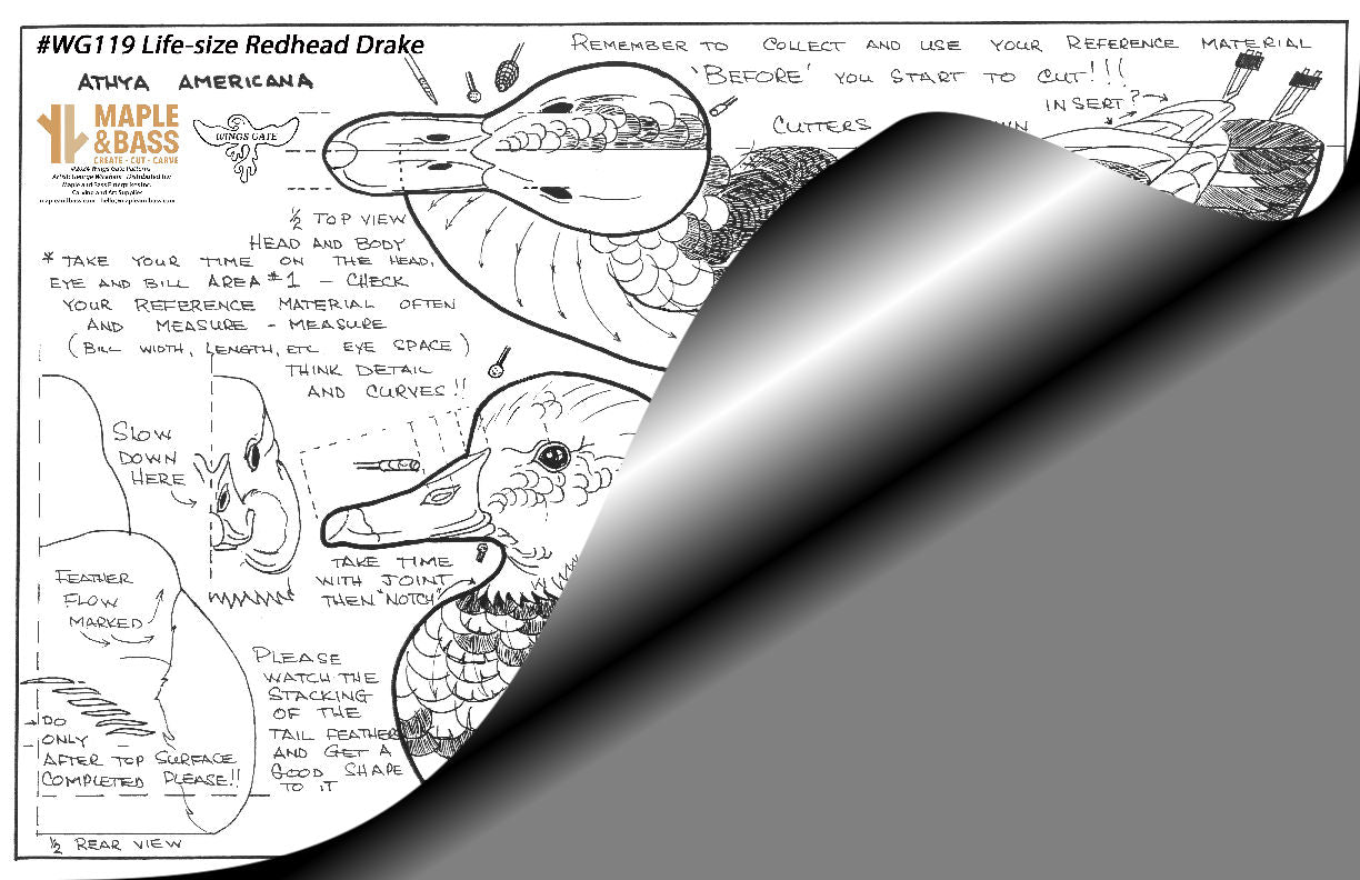 Redhead Drake Life Size Wings Gate Pattern 11x17 #WG119