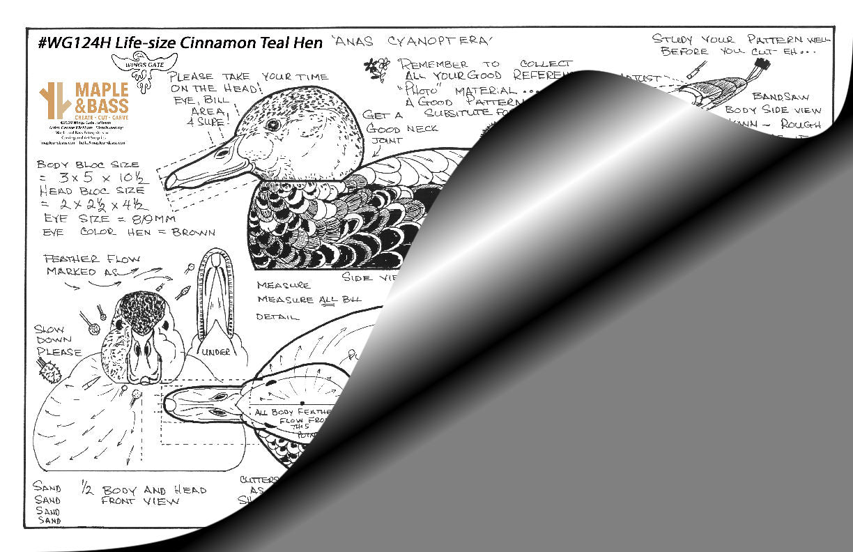 Cinnamon Teal Hen Life Size Wings Gate Pattern 11x17 #WG124H
