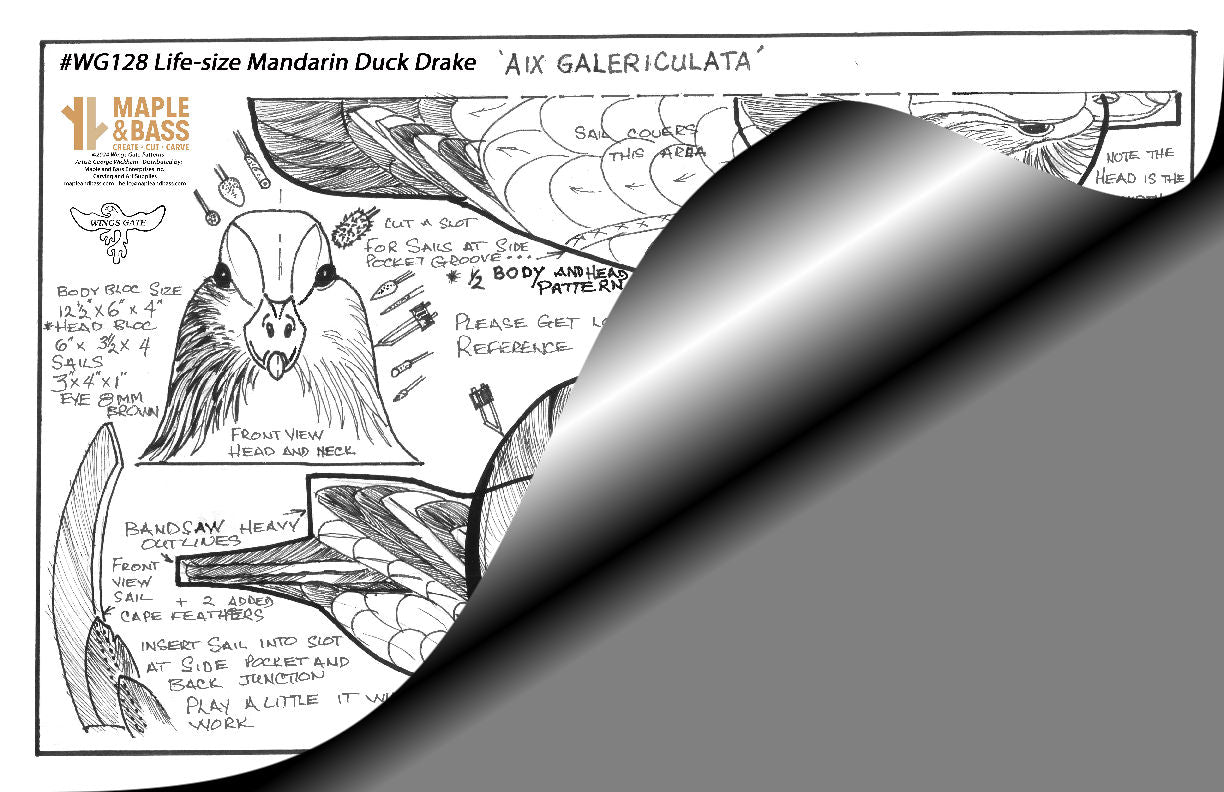 Mandarin Duck Drake Life Size Wings Gate Pattern 11x17 #WG128