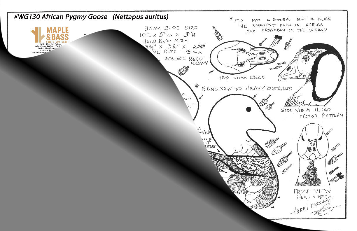 African Pygmy Goose Life Size Wings Gate Pattern 11x17 #WG130