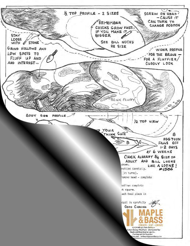 Loon Chick Work Sheet Series Wings Gate Pattern #WG1506