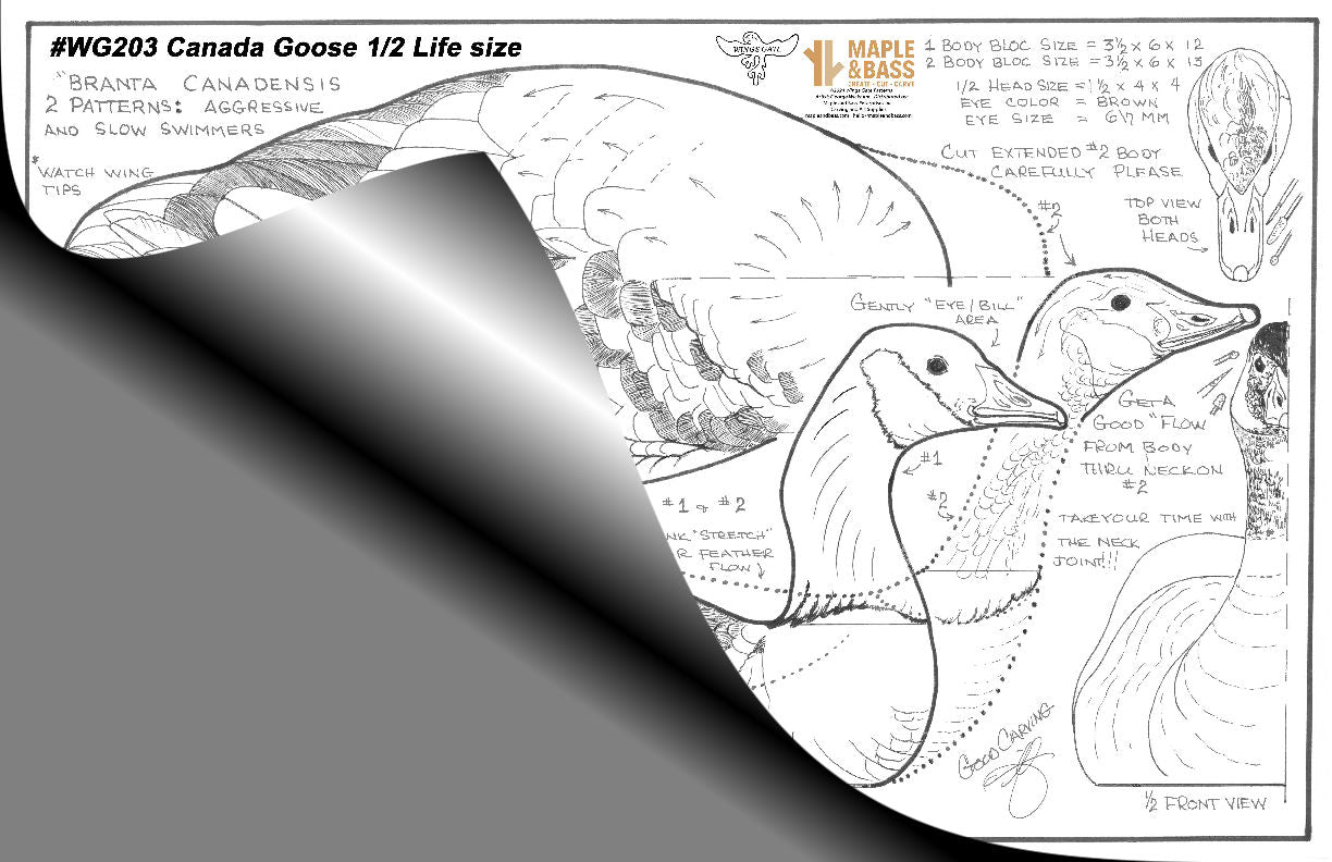 Canada Goose 2-in-1 Swimming 1/2 Life Size Wings Gate Pattern #WG203