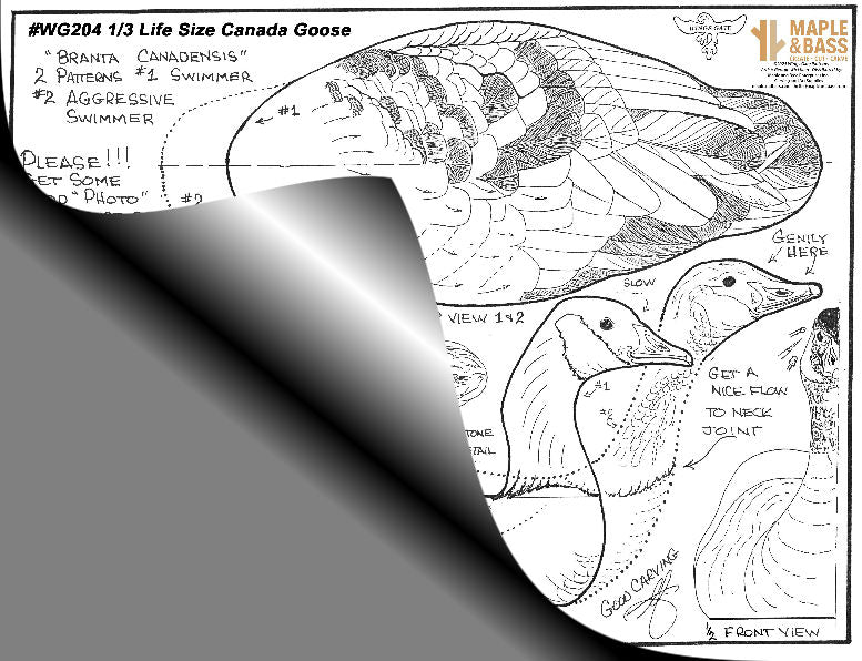 Canada Goose 2-in-1 Swimming 1/3 Life Size Wings Gate Pattern #WG204