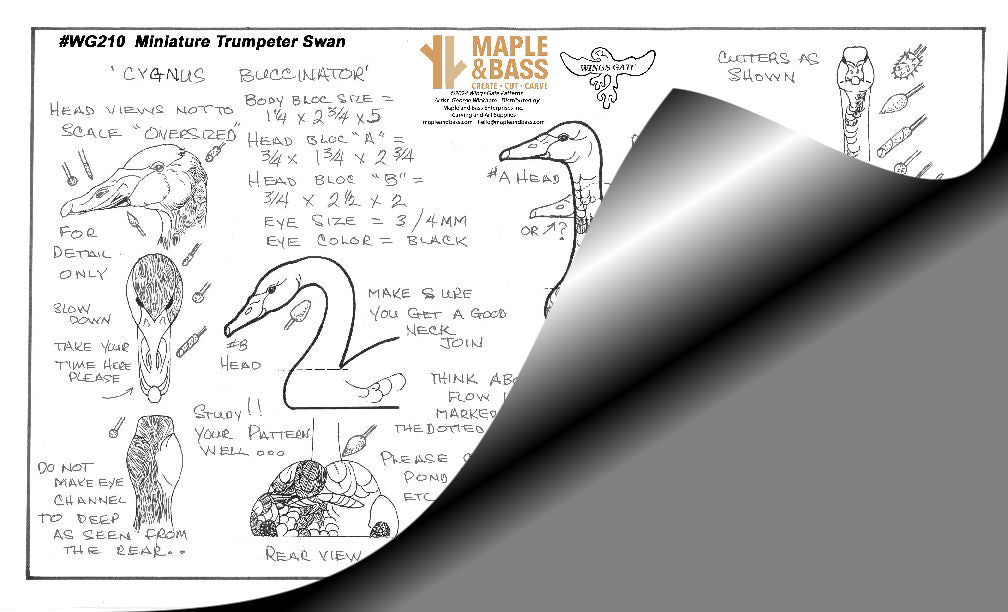 Trumpeter Swan Miniature Swimming Wings Gate Pattern #WG210