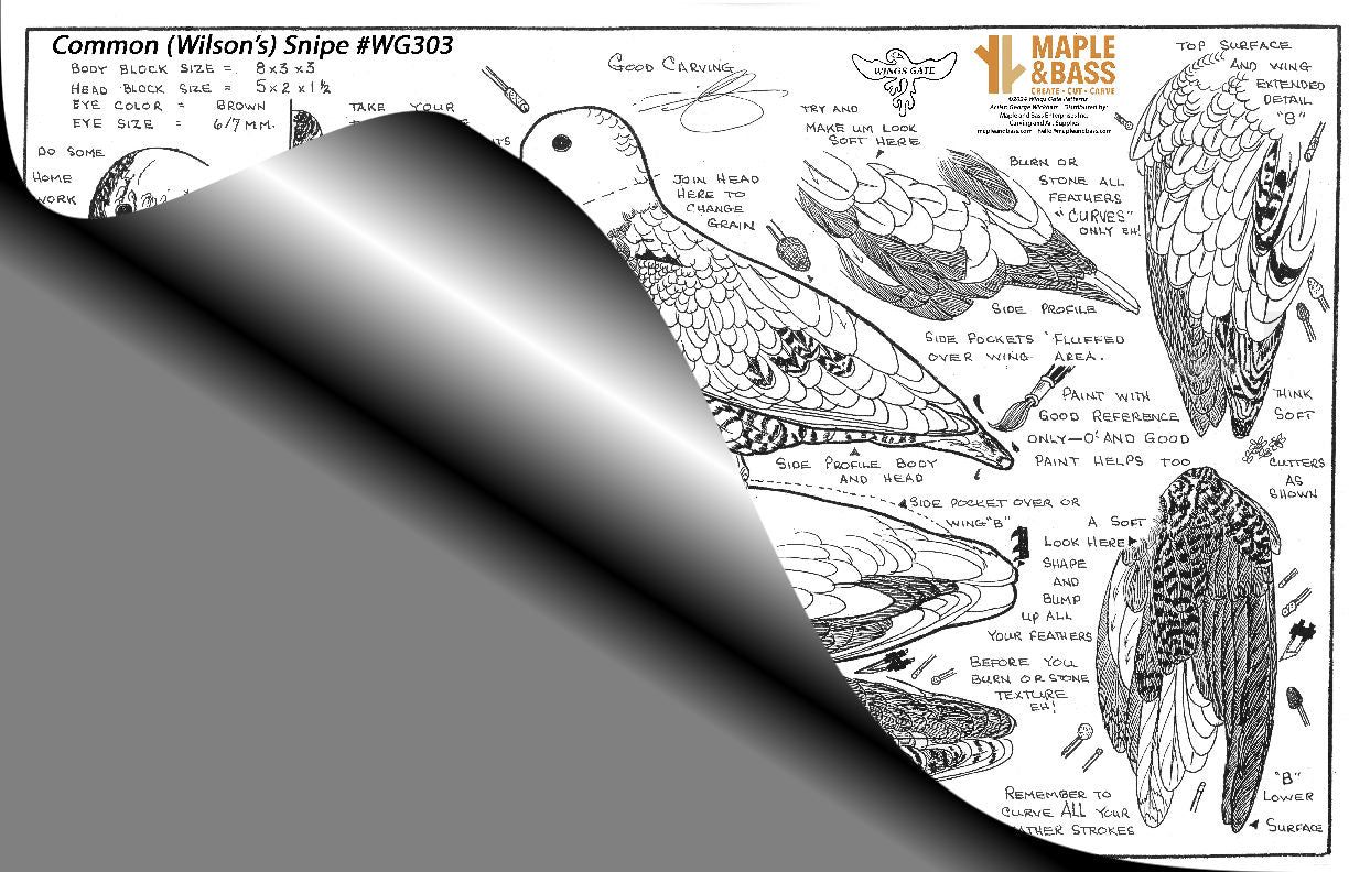 Snipe, Common or Wilson's, Wings Gate Pattern #WG303