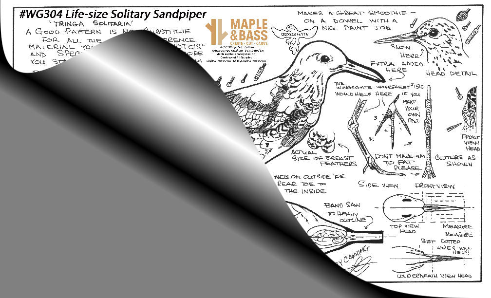 Sandpiper, Solitary Life-size Wings Gate Pattern #WG304
