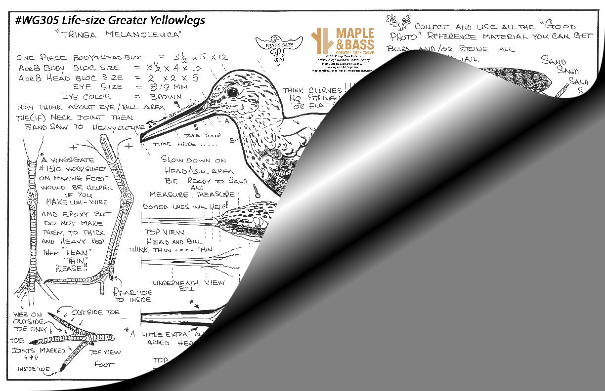 Yellowlegs, Greater Life-size Wings Gate Pattern #WG305