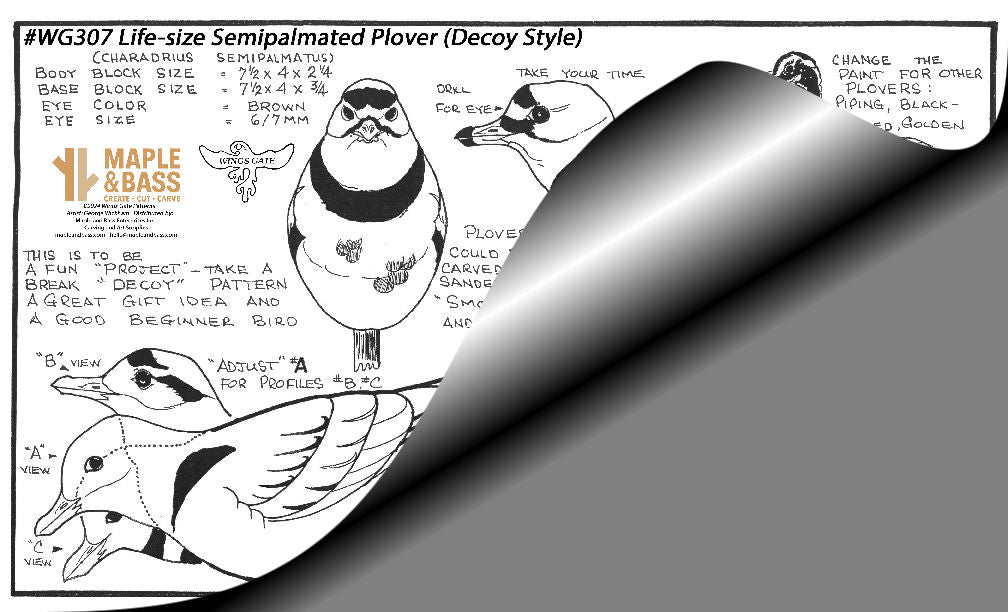 Plover, Semipalmated Life-size Wings Gate Pattern #WG307