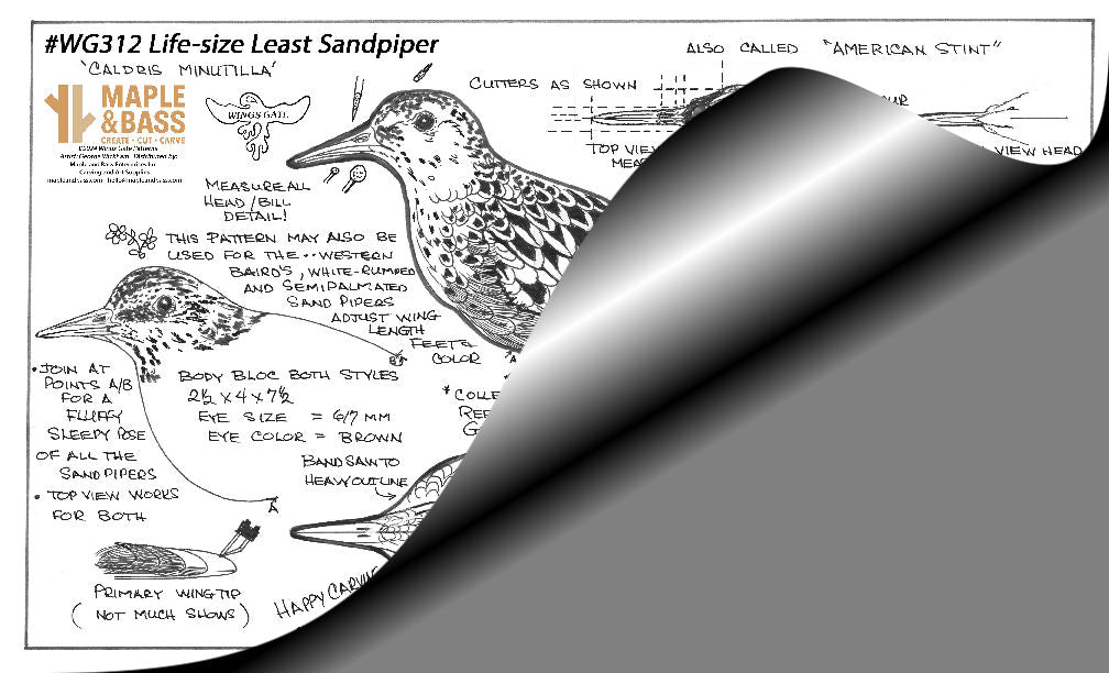 Sandpiper, Least Life-size Wings Gate Pattern #WG312