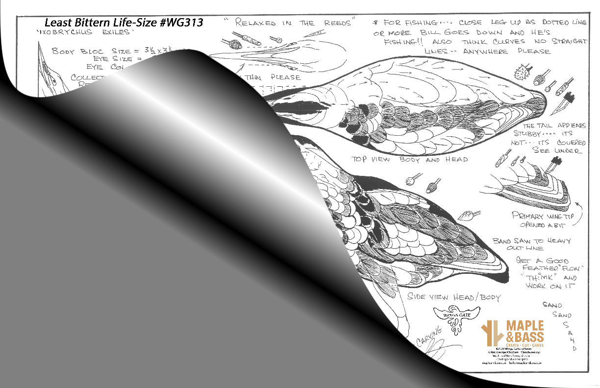 Bittern, Least Life-size Wings Gate Pattern #WG313