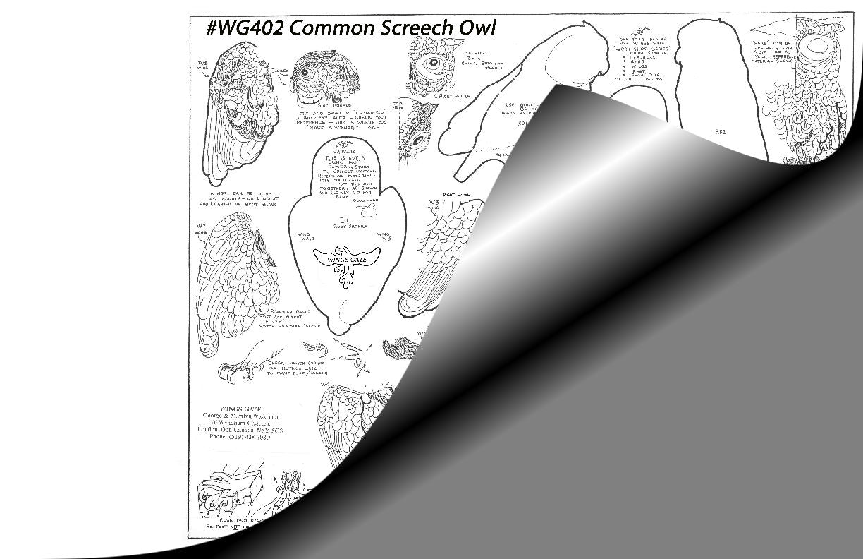 Owl, Common Screech Wings Gate Pattern #WG402