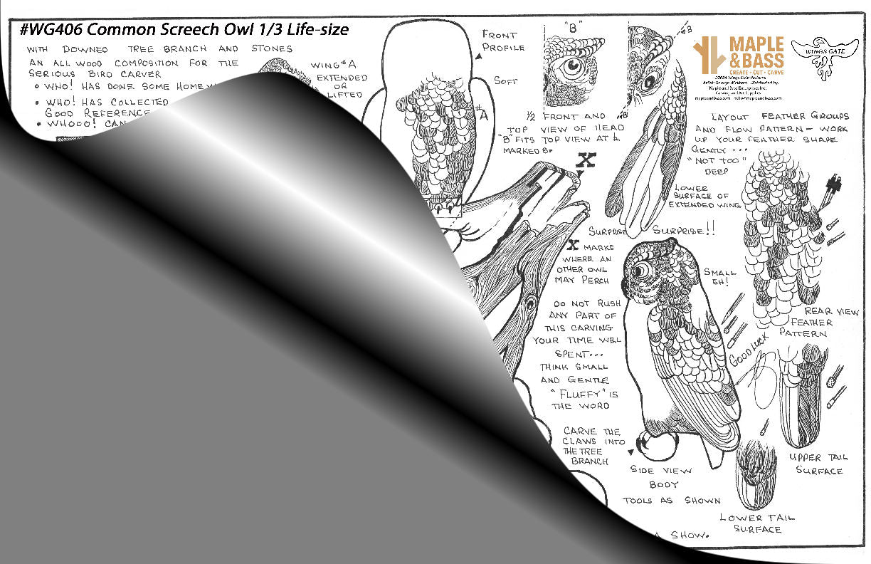 Owl, Common Screech 1/3 Life-size perched on a stump/rock base Wings Gate Pattern 11x17 #WG406