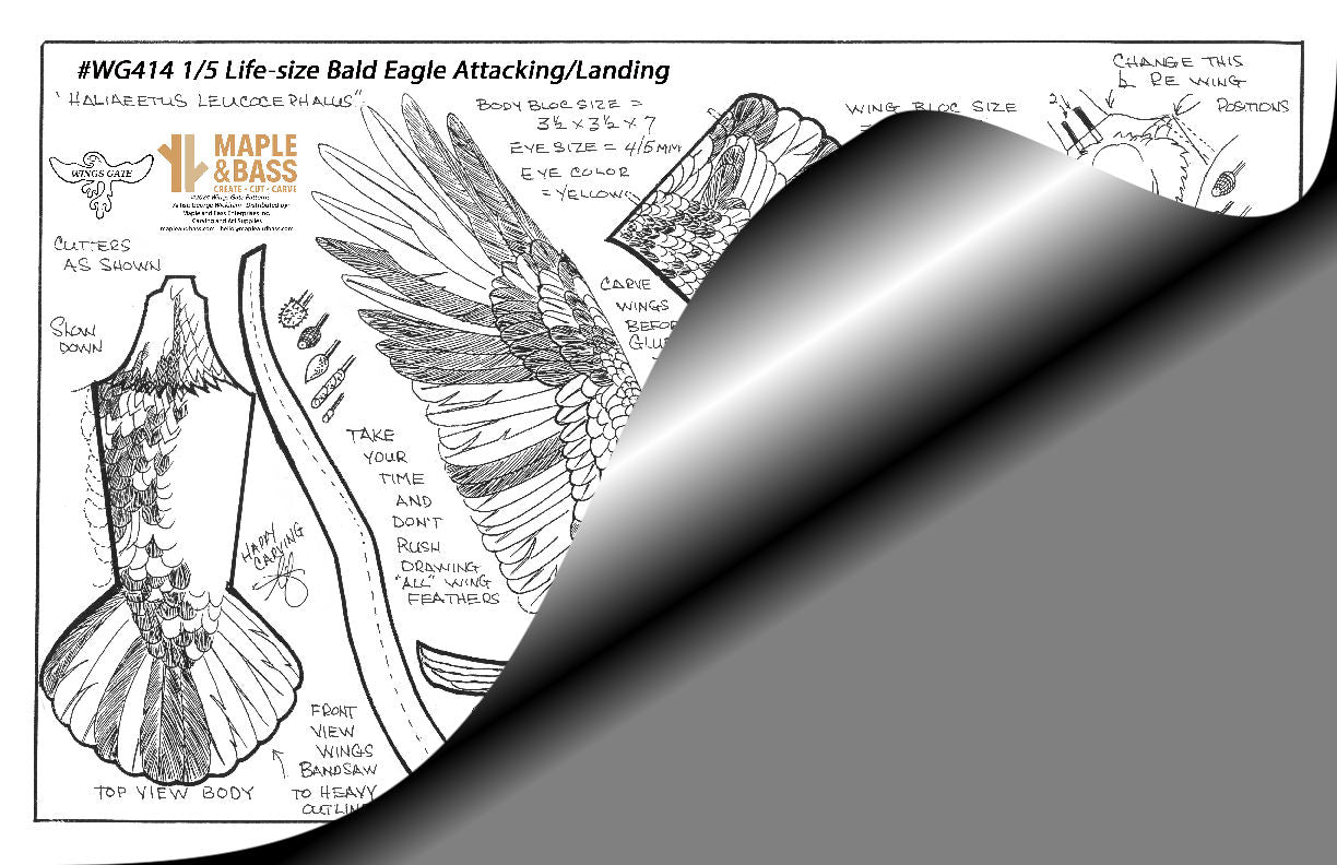 Eagle, Bald Attacking/Landing 1/5 Life Size Wings Gate Pattern 11x17 #WG414