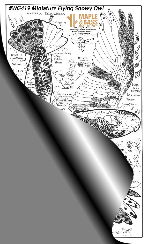 Owl, Snowy, Flying Miniature Wings Gate Pattern 8.5x14 #WG419