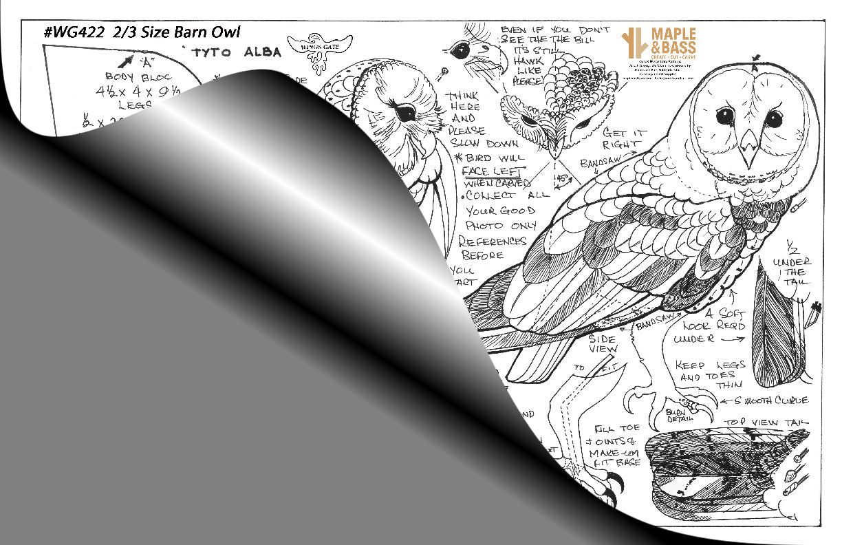 Barn Owl 2/3 Life Size Wings Gate Pattern 11x17 #WG422