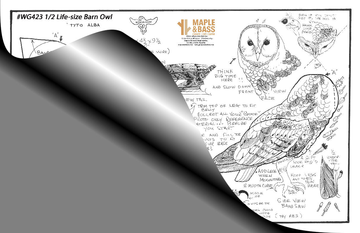 Barn Owl 1/2 Life Size Wings Gate Pattern 11x17 #WG423