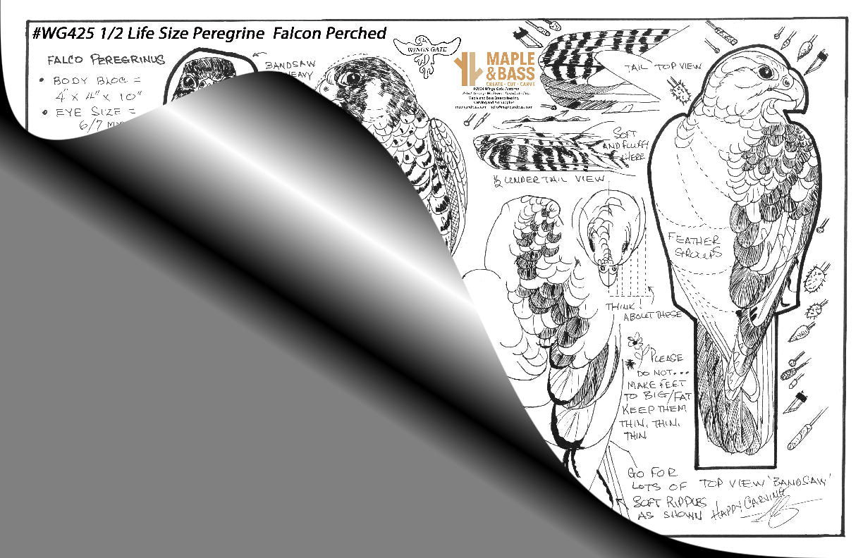 Peregrine Falcon 1/2 Life Size Wings Gate Pattern 11x17 #WG425