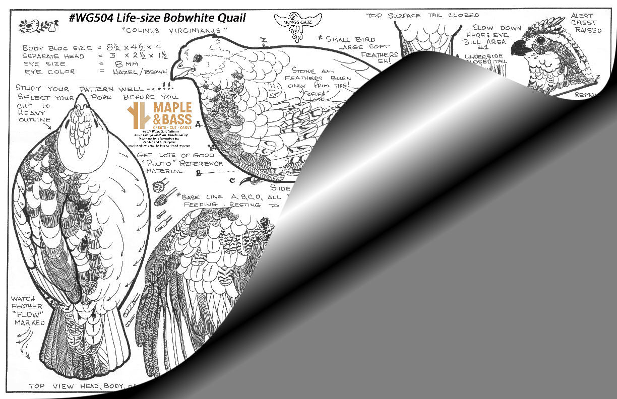 Bobwhite Quail Life Size Wings Gate Pattern 11x17 #WG504