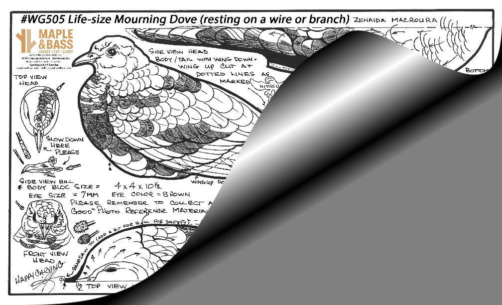 Mourning Dove Life Size Wings Gate Pattern 8.5x14 #WG505