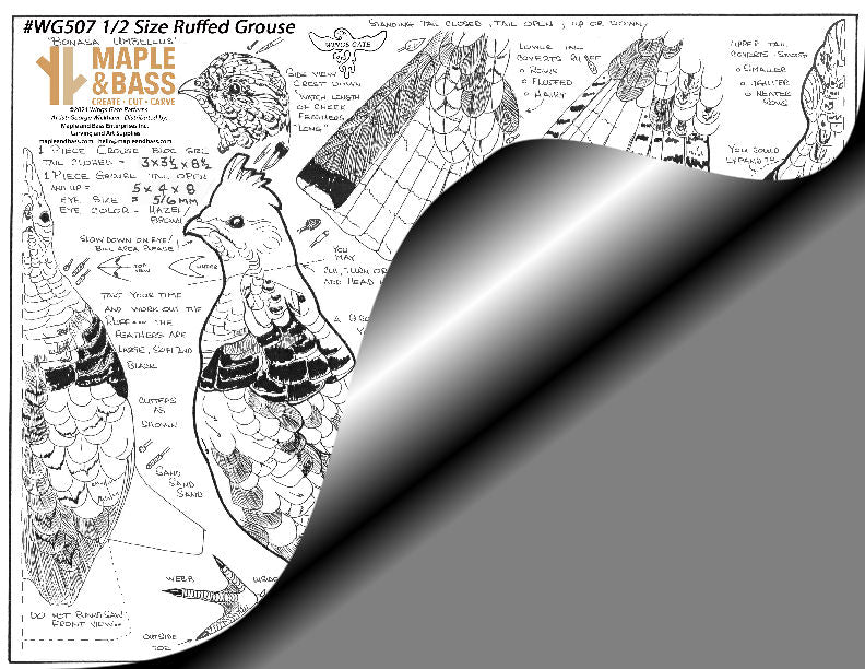 Ruffed Grouse 1/2 Life Size Wings Gate Pattern 8.5x11 #WG507