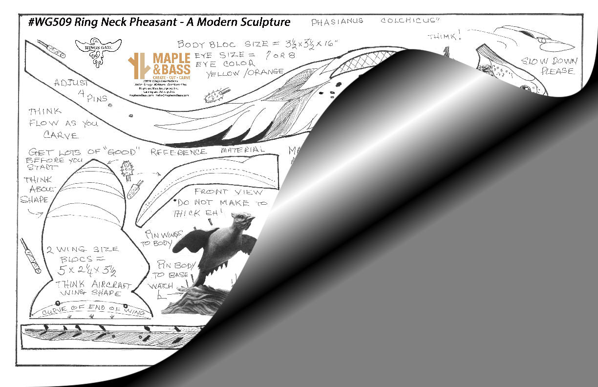 Ring Neck Pheasant Sculpture Style Wings Gate Pattern 11x17 #WG509