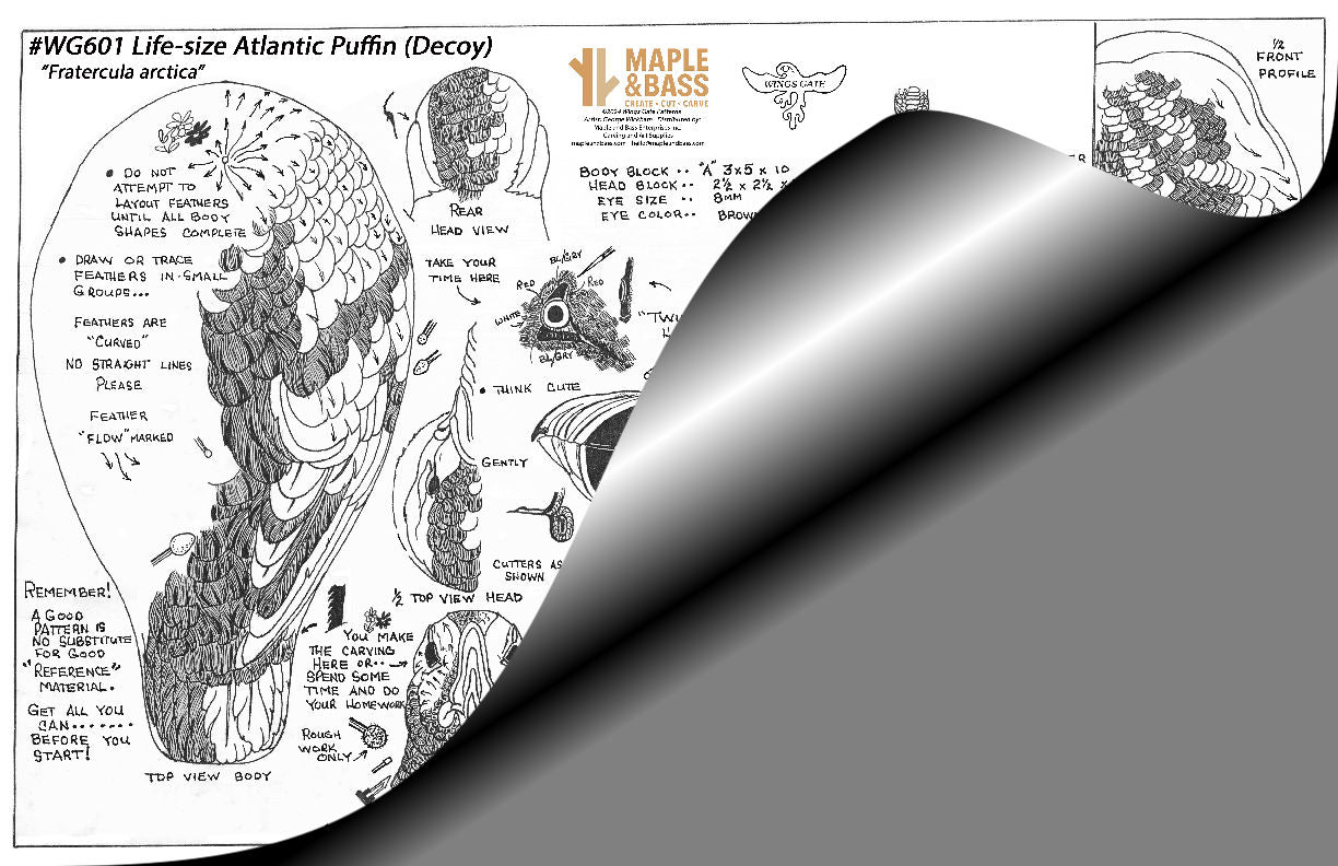 Atlantic Puffin Decoy Life Size Wings Gate Pattern 11x17 #WG601
