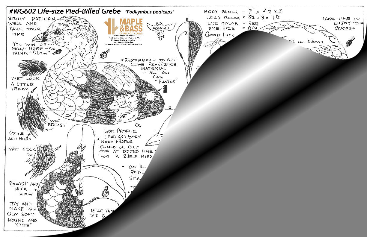 Pied-Billed Grebe Decoy Life Size Wings Gate Pattern 11x17 #WG602