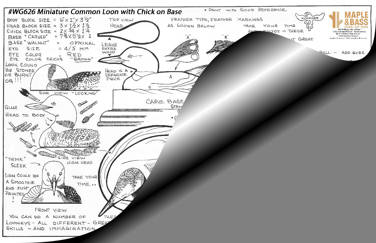 Common Loon Miniature Decoy with Chick on Base Wings Gate Pattern 11x17 #WG626