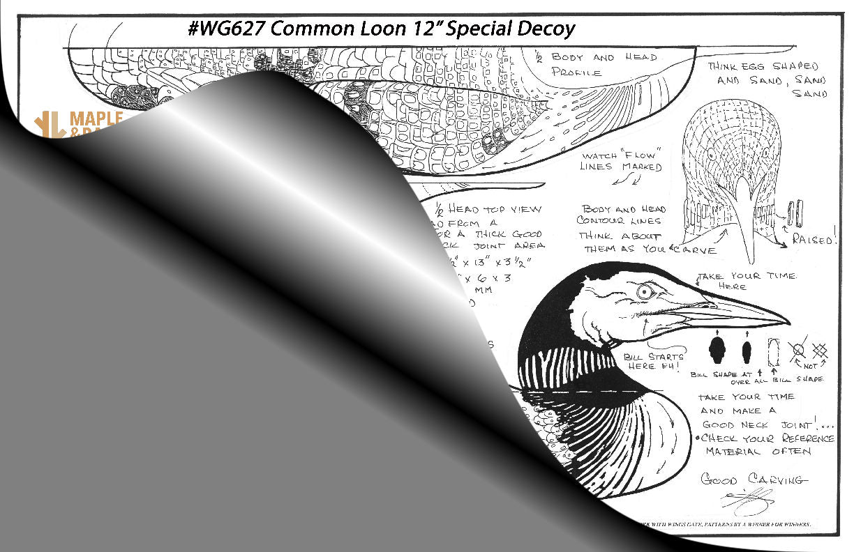 Common Loon Special Decoy 12" Wings Gate Pattern 11x17 #WG627