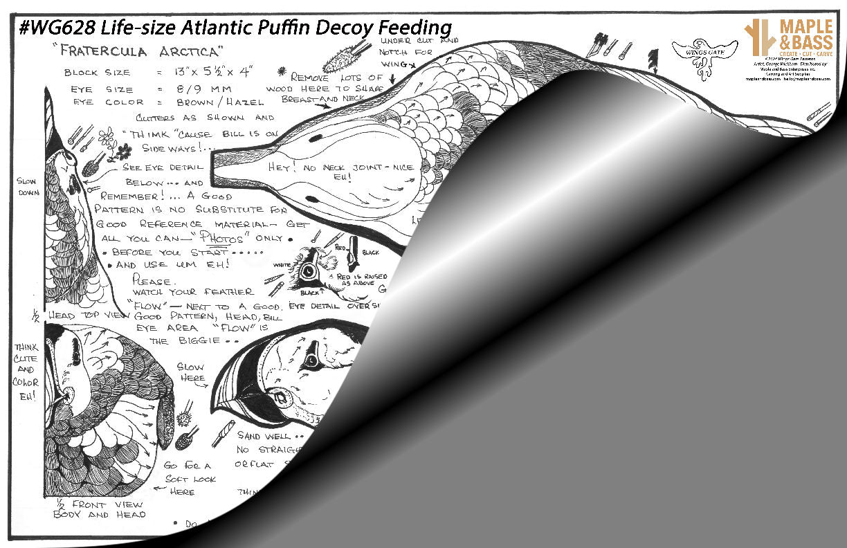 Atlantic Puffin Lifesize Decoy, Feeding Wings Gate Pattern 11x17" #WG628